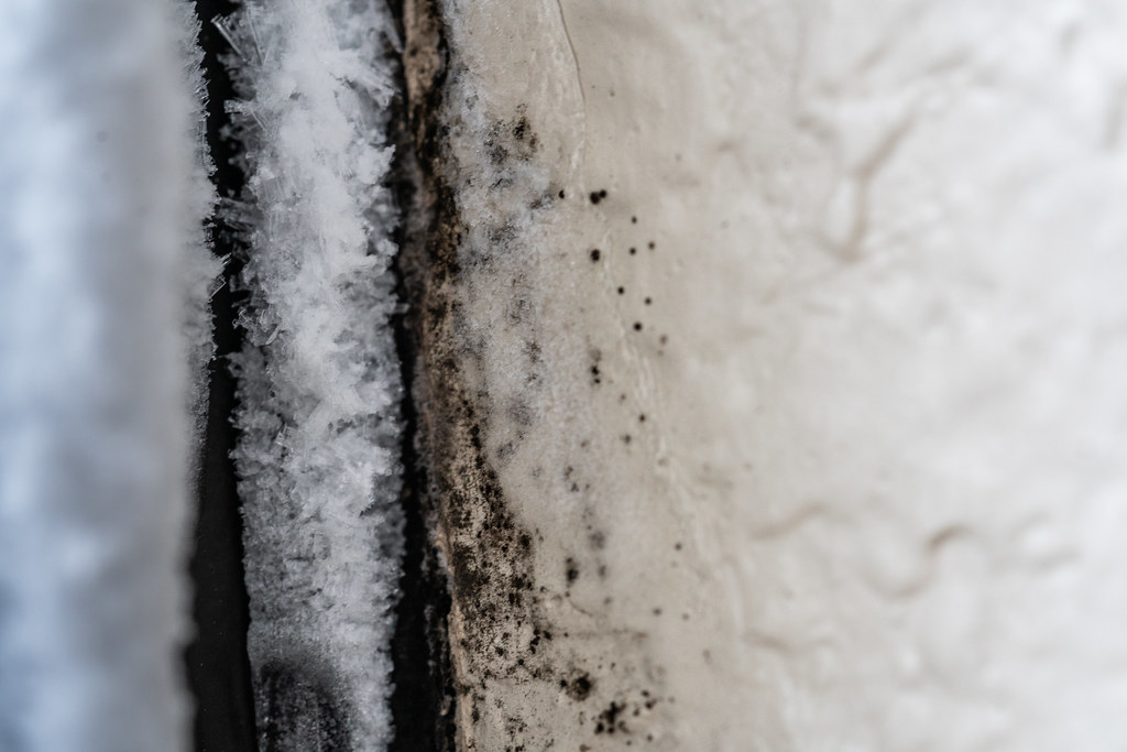 Black mould and ice moisture on a wall