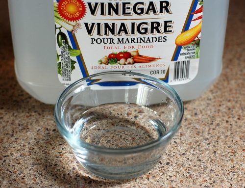 Myth or Fact? Does Vinegar Kill Mould?