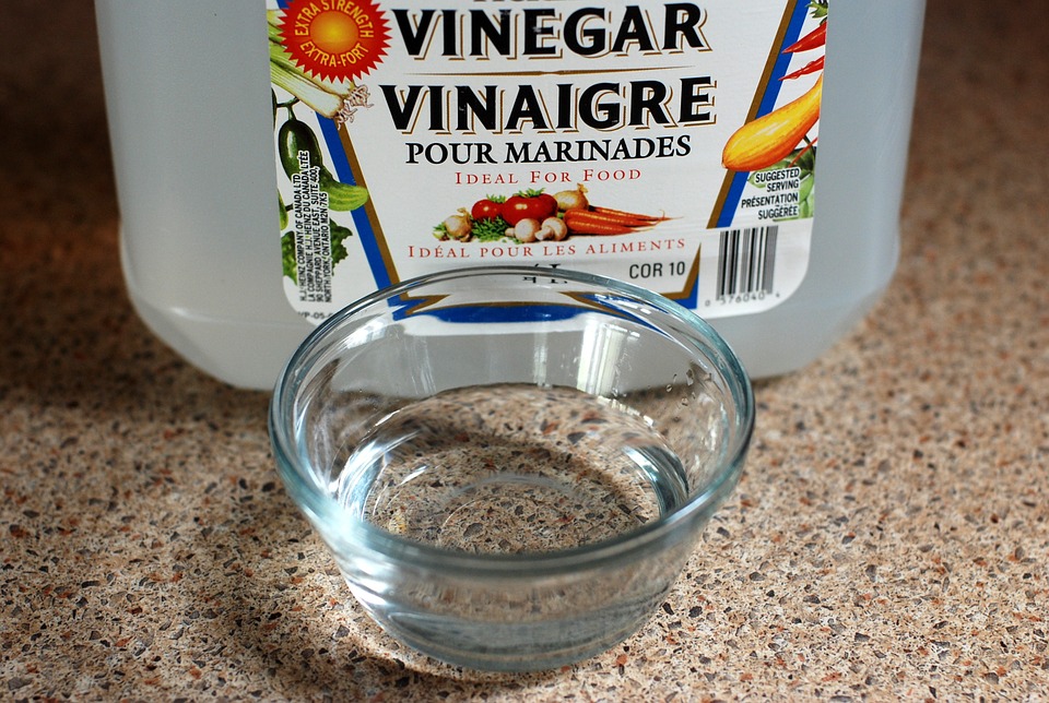 Can Vinegar Kill Mould?